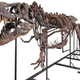 Illustration for article titled This $2.39 Million Half-Complete T-Rex Doesn't Cost Money, It Makes Money